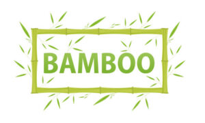 bamboo investment for beginners in Nigeria